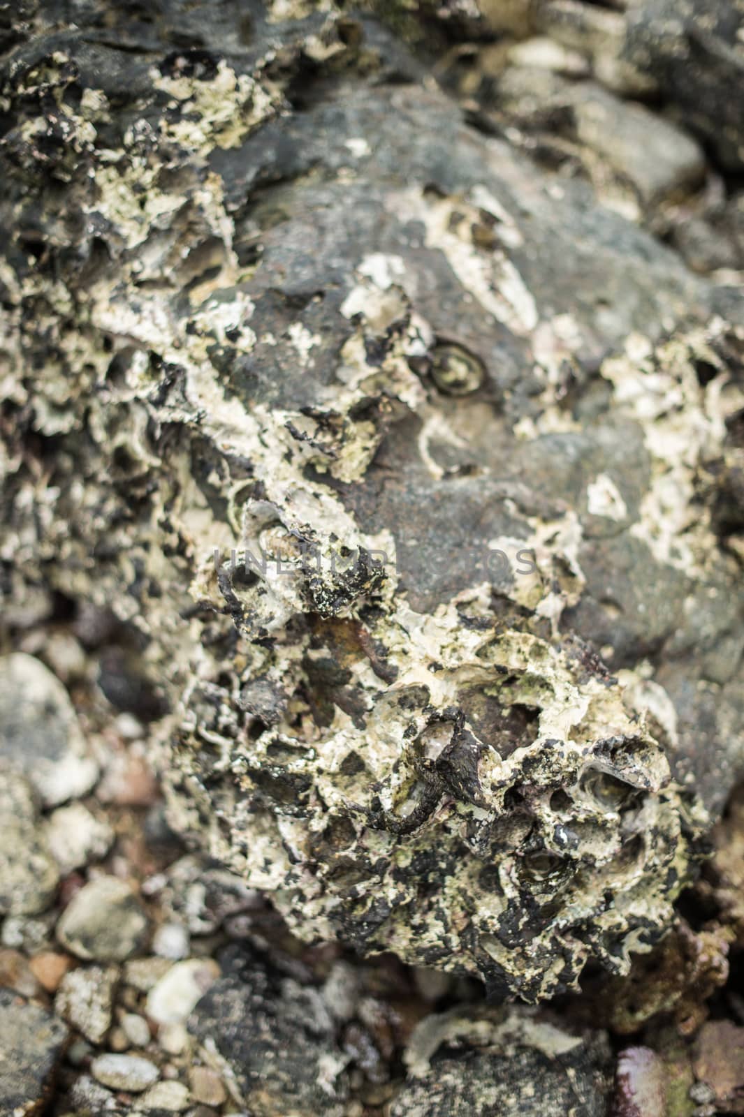 Pattern background of stone on the beach by sayhmog