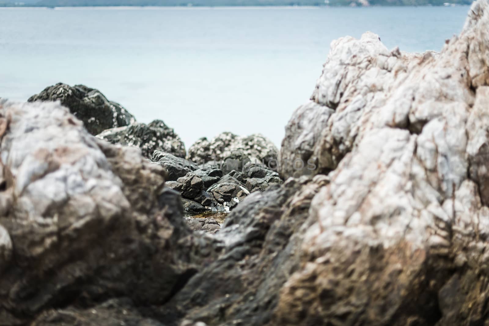 Closeup of abstract stone background by sayhmog