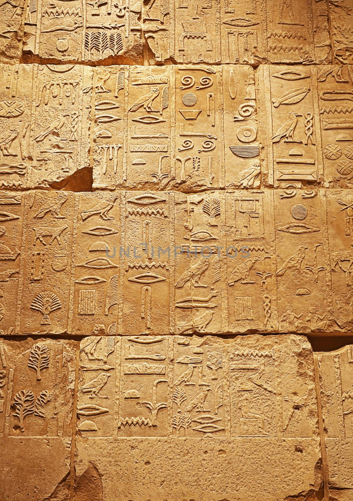 Close up background of antique stone wall with carved ancient Egyptian hieroglyphs, front view