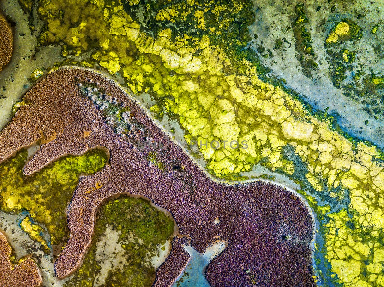 The interesting aerial perspective, colours, patterns and textures of Nangudga Lake, estuary ocean lagoon in the Eurobodalla region Australia