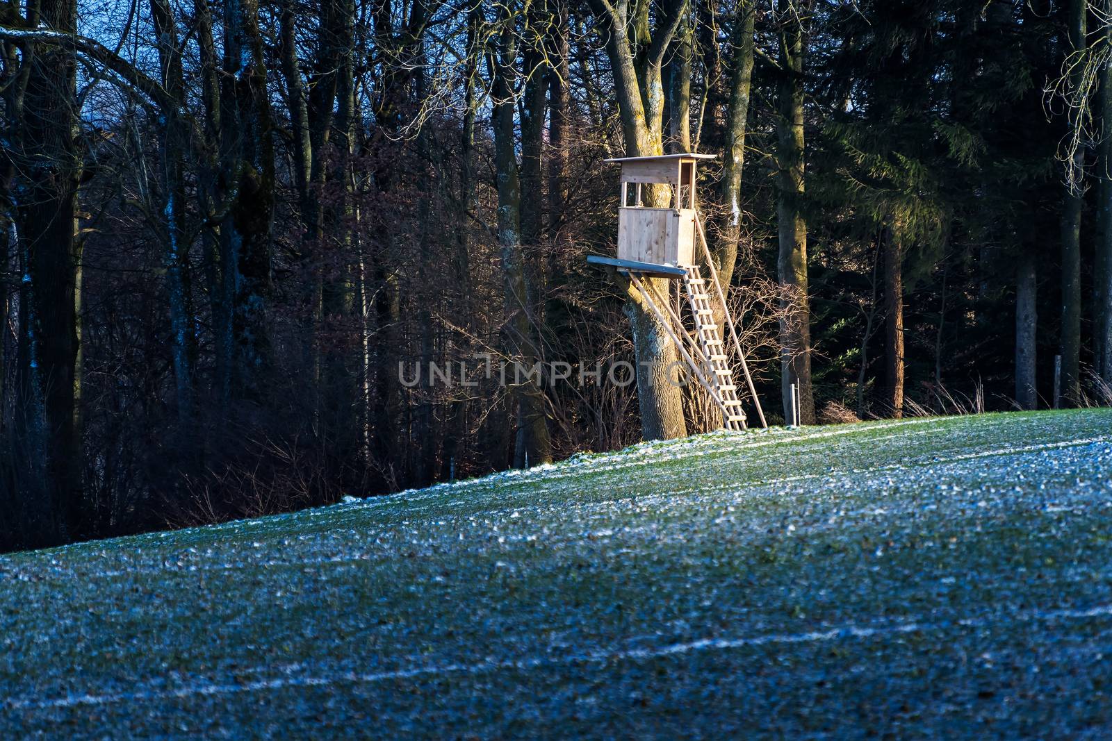 Deerstand with field and forest in Bavaria, Germany in winter
