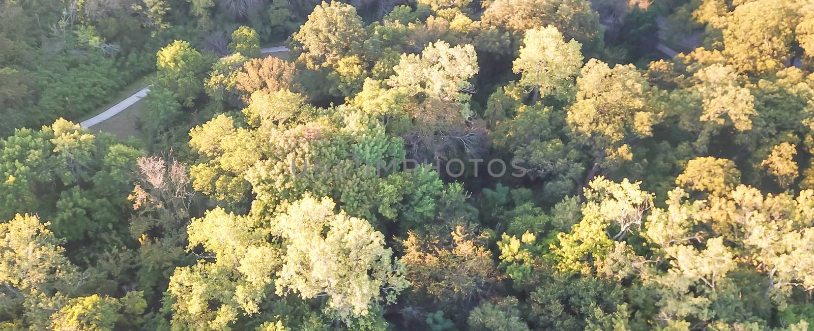 Panorama aerial drone view Kessler Park located just south of downtown Dallas, Texas, USA. Flyover nature area with mature trees and rolling hill terrain