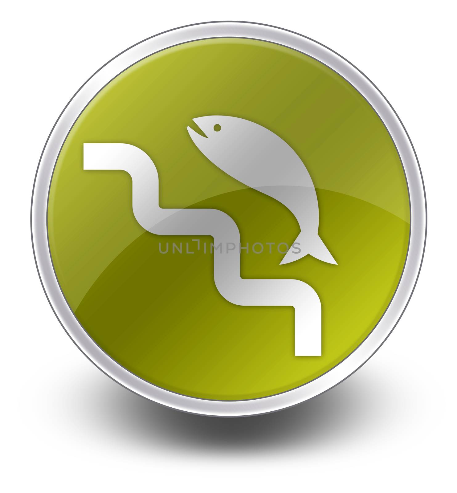 Icon, Button, Pictogram Fish Ladder by mindscanner