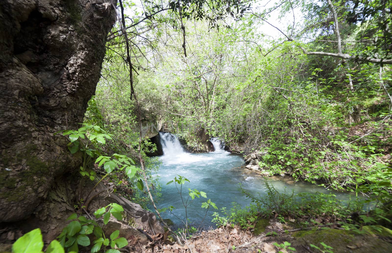 Blue water in waterfall pool in a middle of the forest