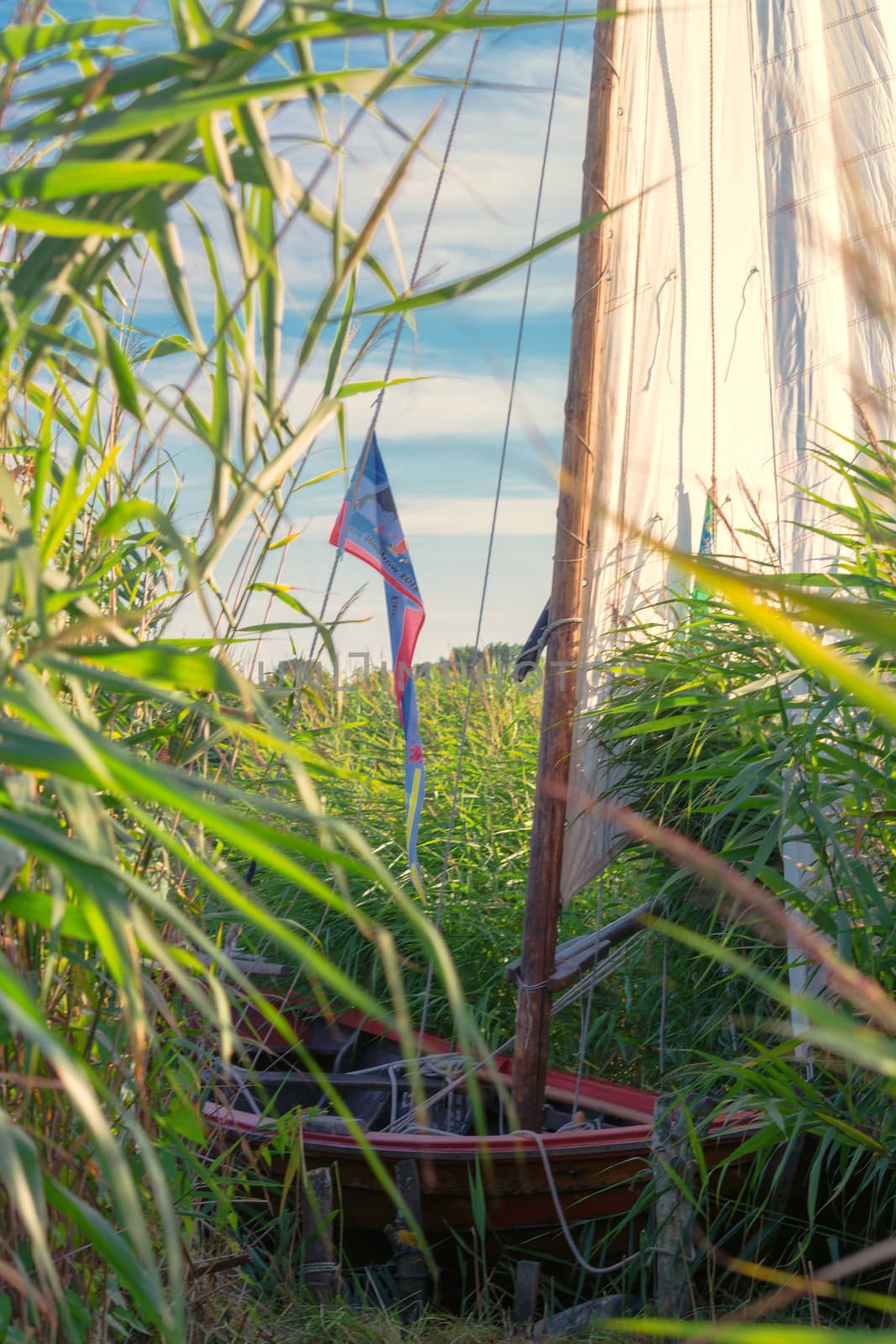 Wooden boat on the shore of a lake in the reeds              