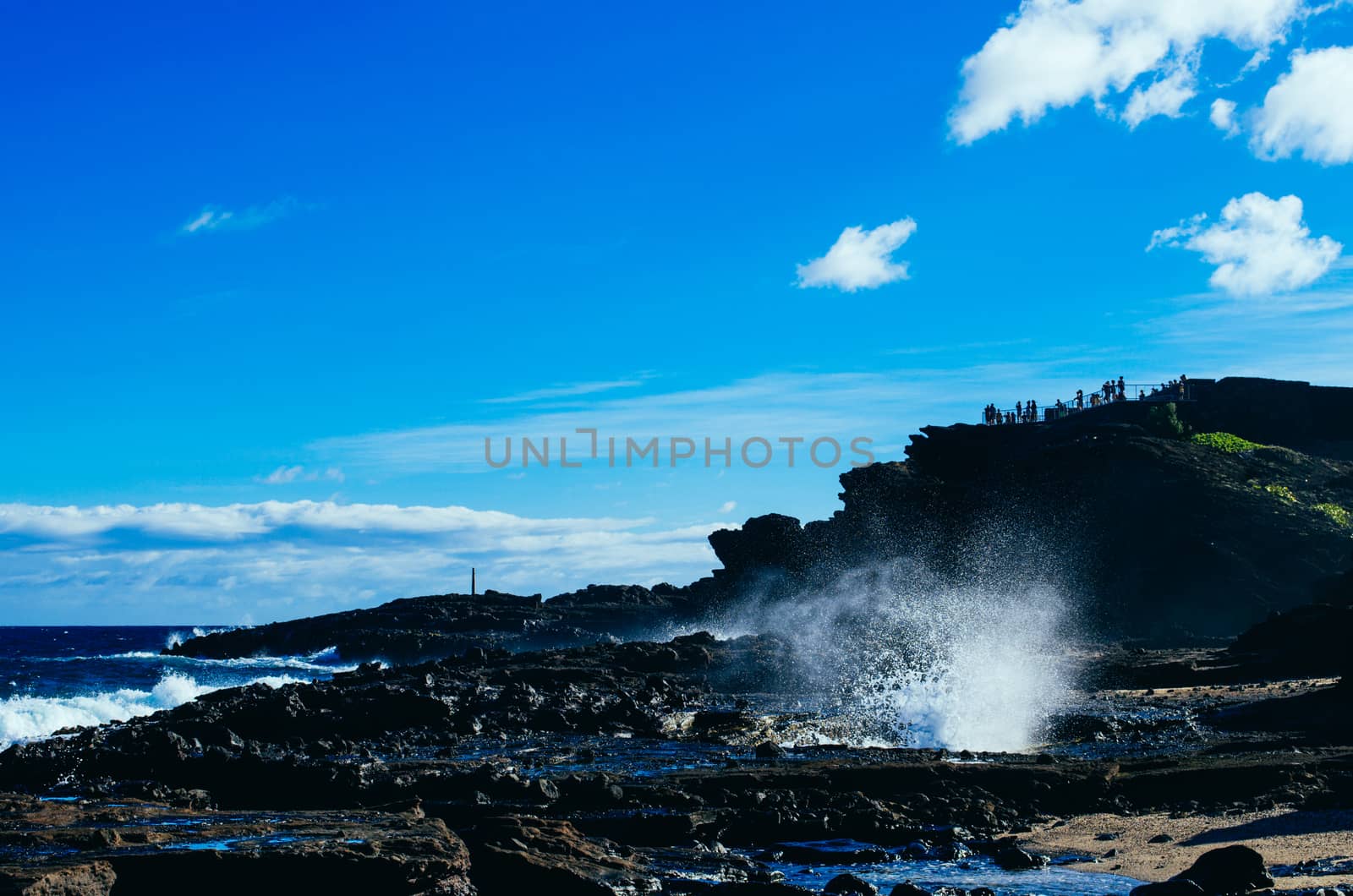 Wave crashes in a rocky shore in Hawaii, US by mikelju