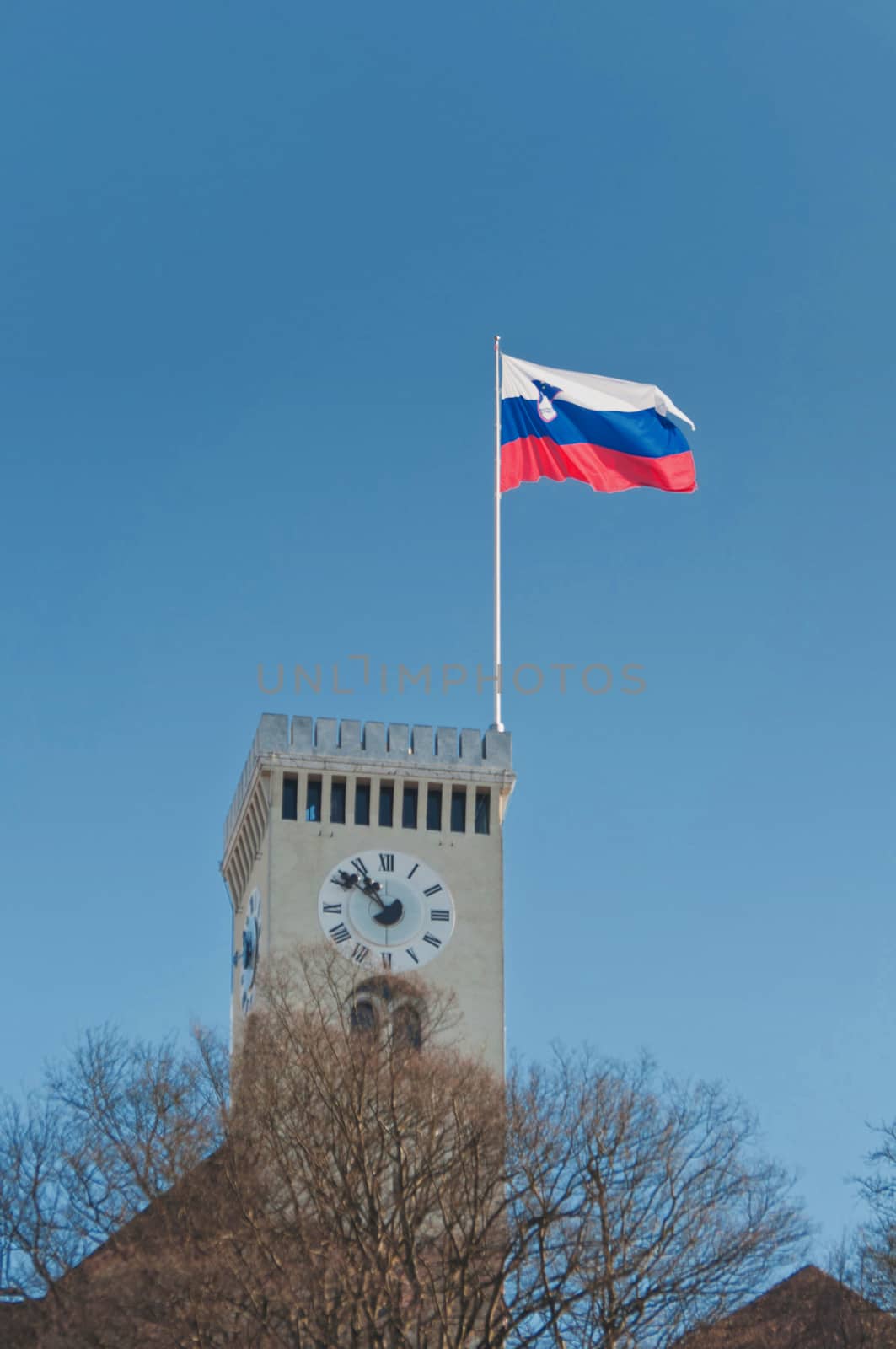 Tower of Ljubljana castle with Slovenian flag by asafaric