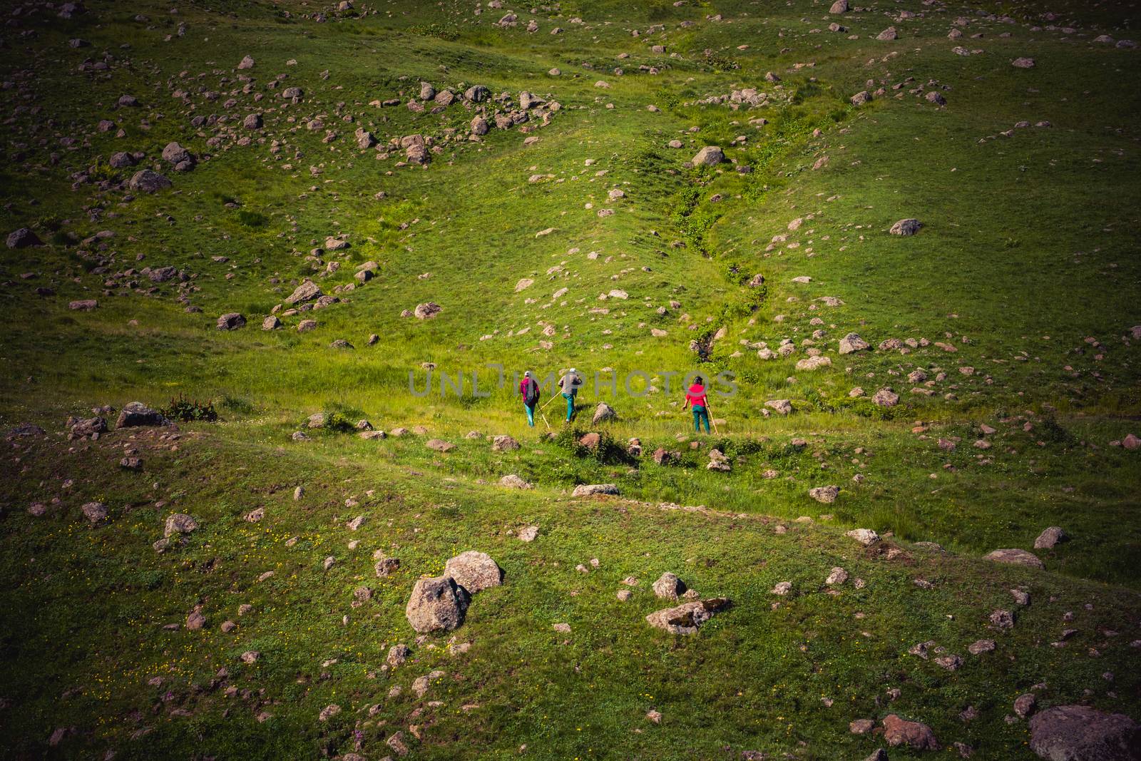 hikers with backpacks and trekking poles walking in Artvin highl by berkay