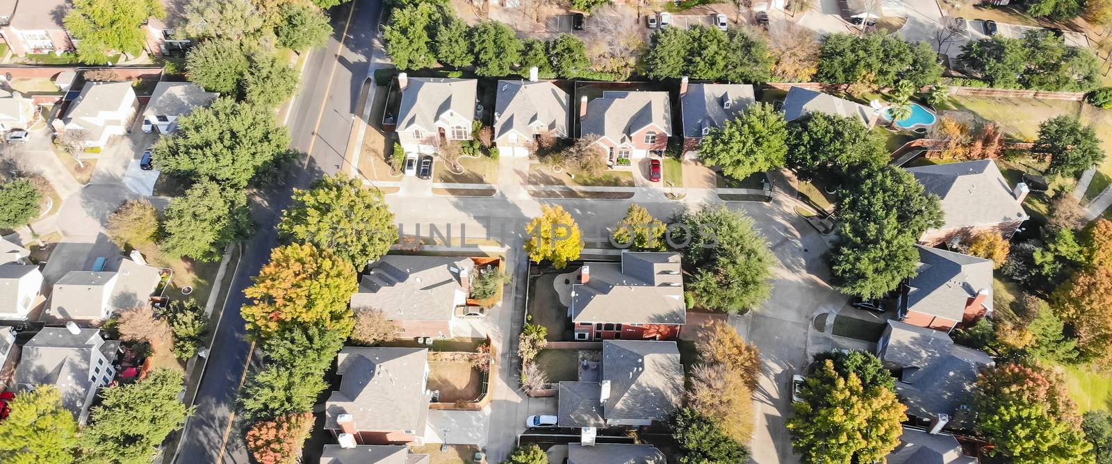 Panorama aerial drone view row of single-family detached house in residential area with colorful autumn leaves. Straight down view of suburban subdivision near Dallas, Texas, USA