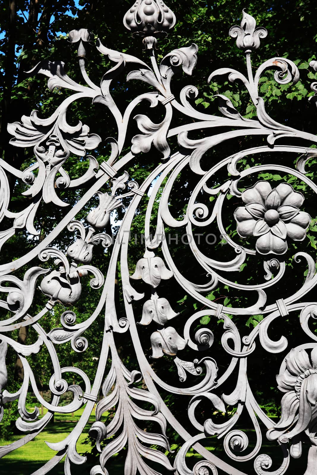 Nice ancient iron fence with floral decor. St. Petersburg, Russia