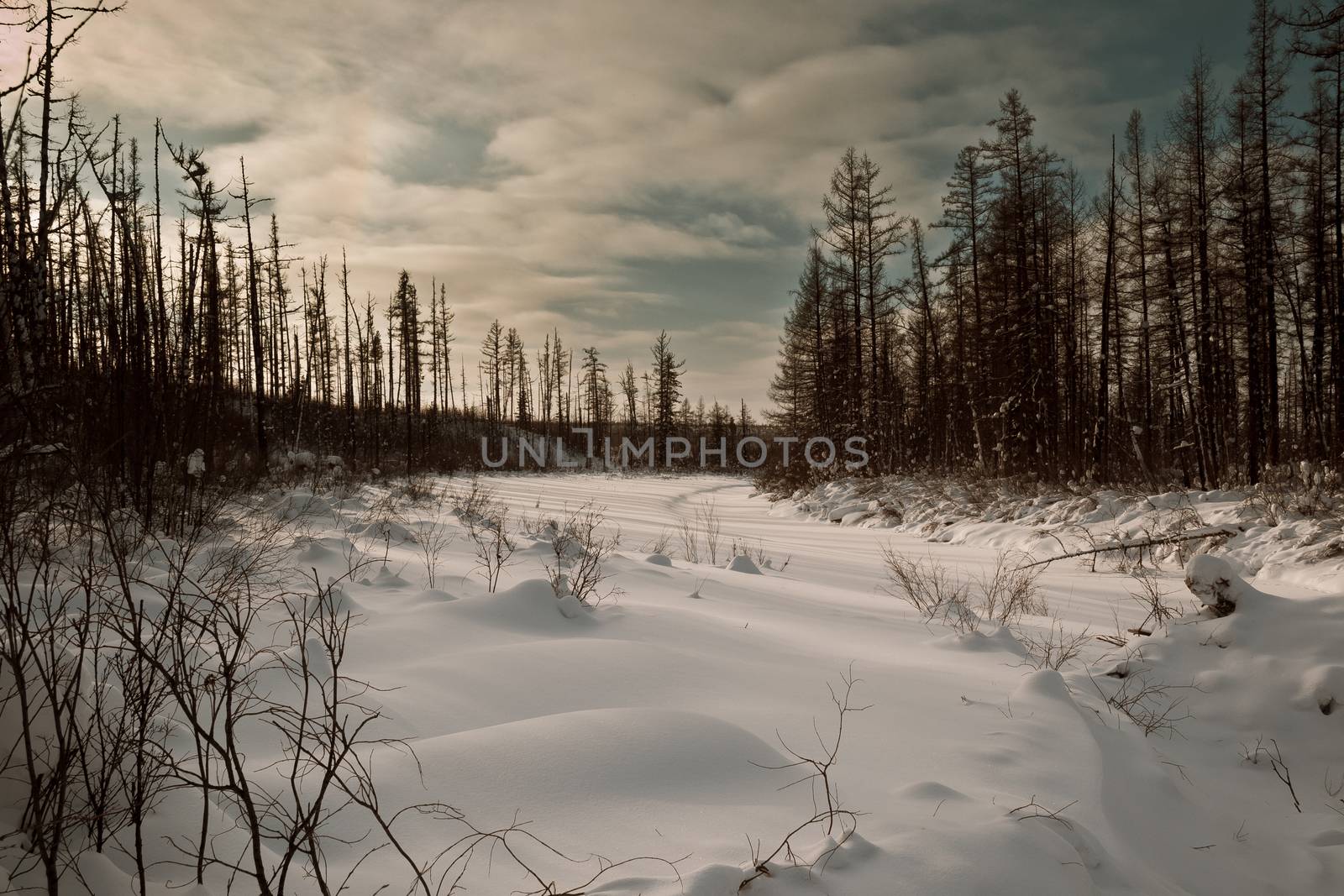 River under the snow in the taiga