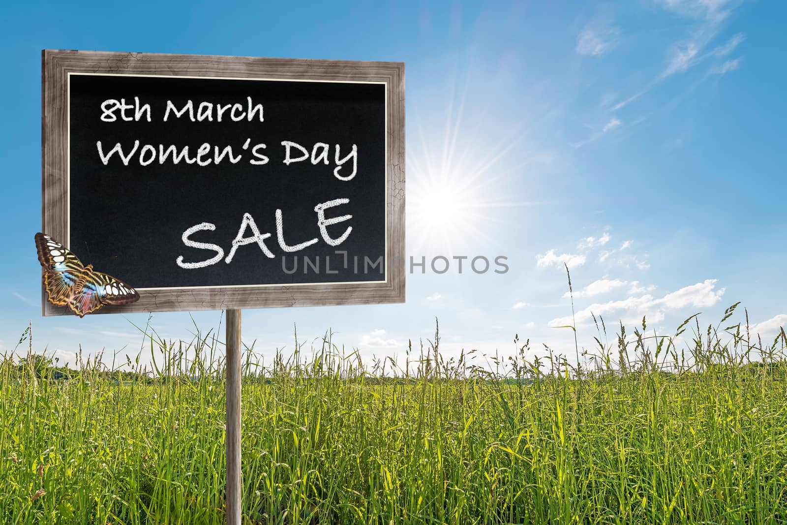 Black chalkboard with wooden frame and text 8th March Women's Day SALE and butterfly in a green meadow and blue sky