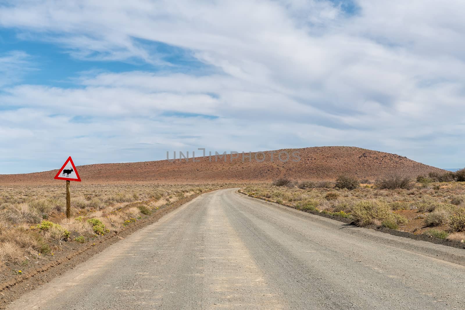 Road landscape in the Tankwa Karoo in the Northern Cape Province. A warning sign is visible