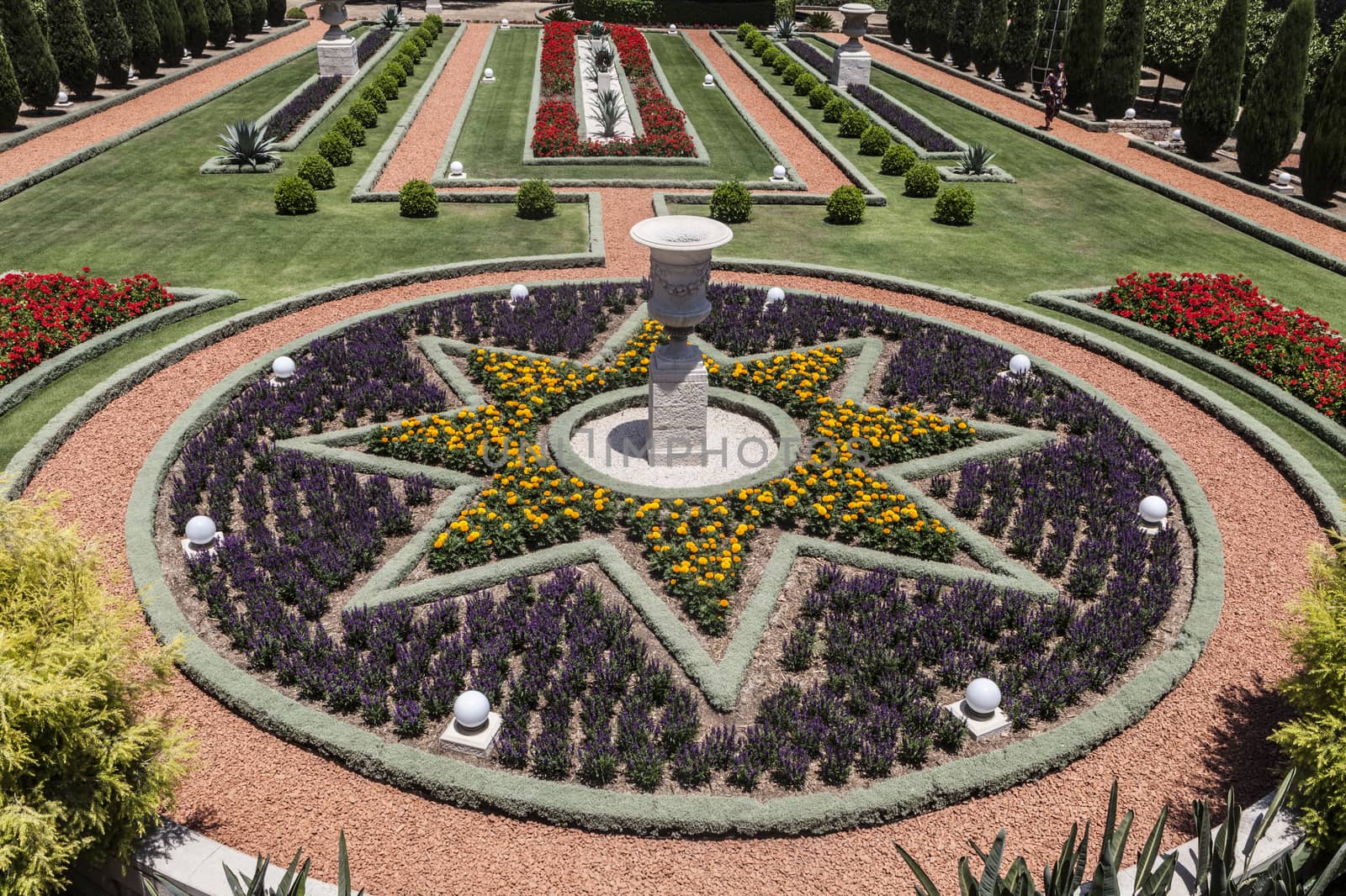 Beautiful image of a park with flowers