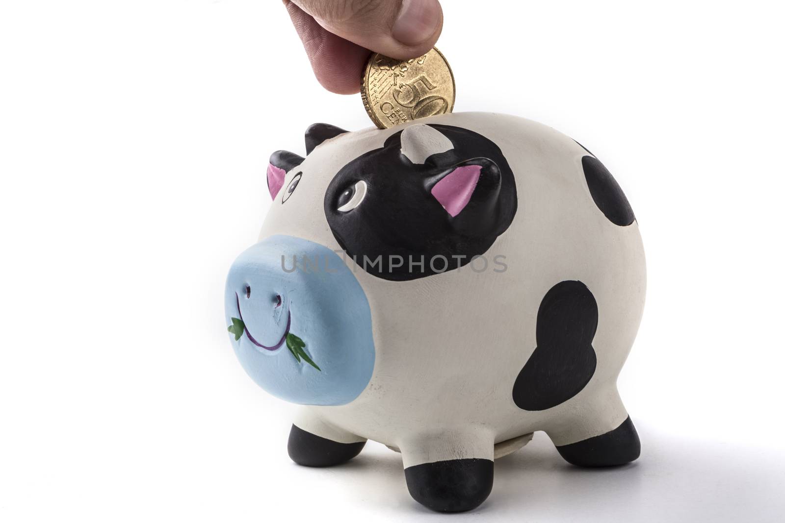 Piggy bank isolated on white background with shadow