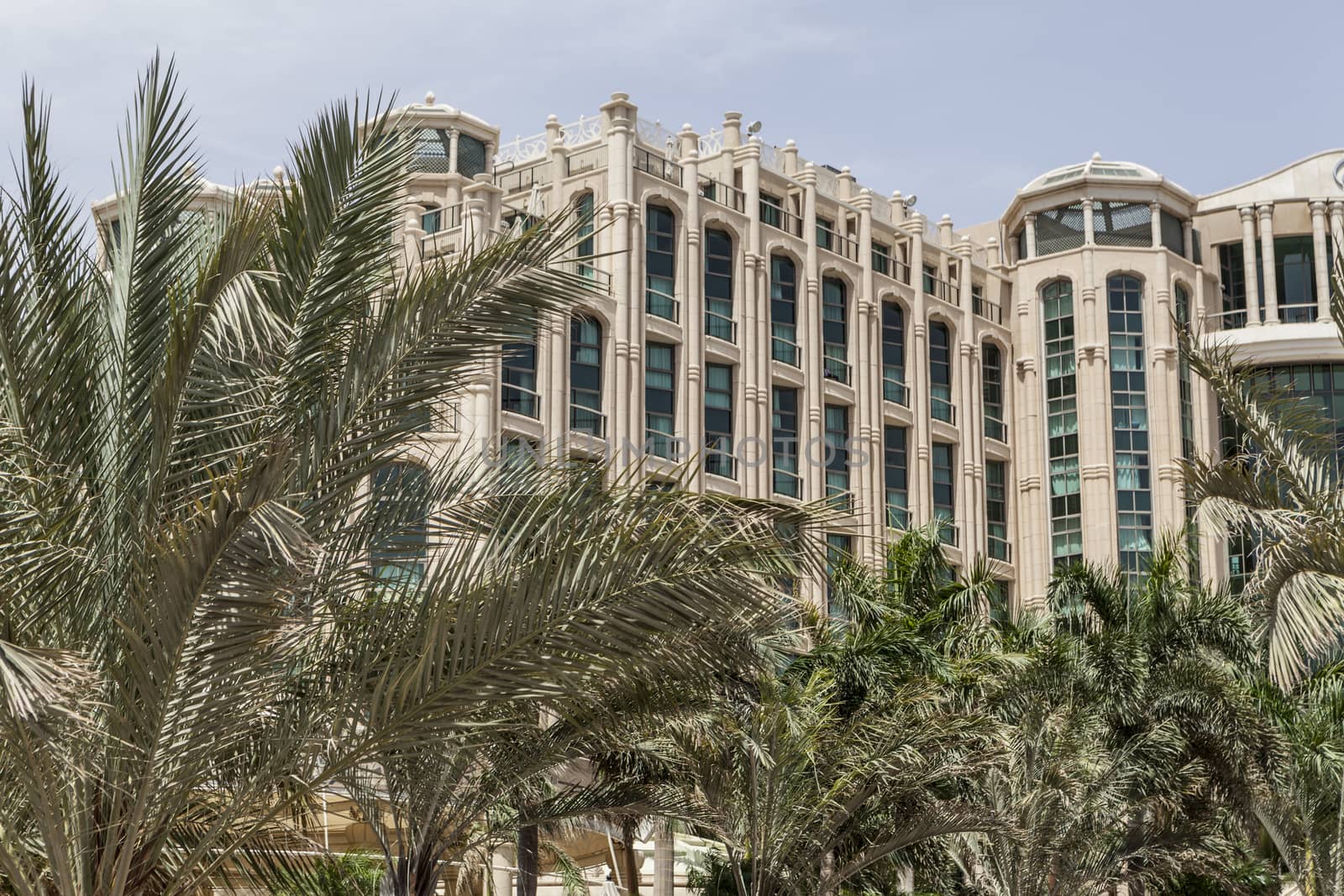 Beautiful picture of a building and palm trees