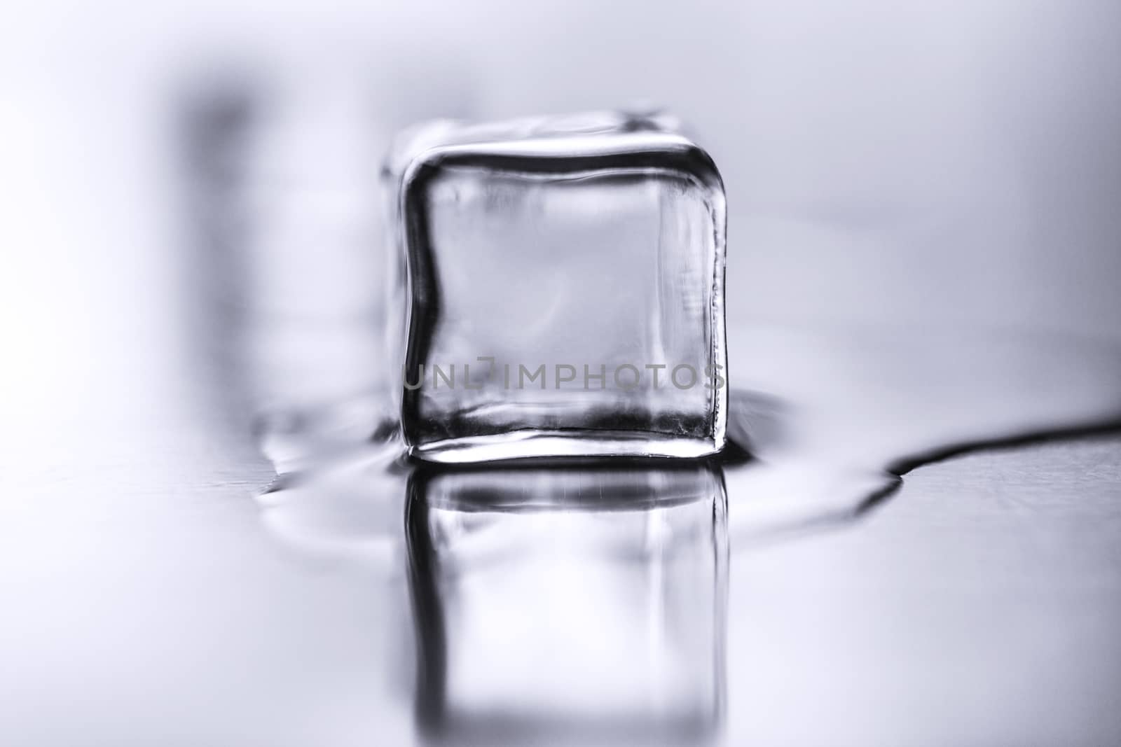 Ice cube melts on table with reflection