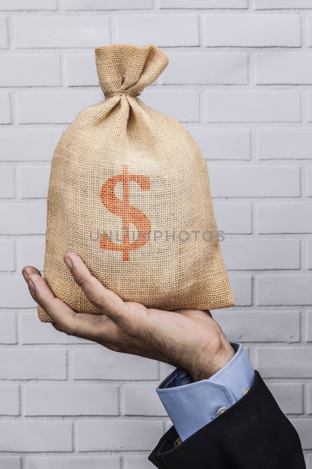 Hand holding a sack of money and white brick background