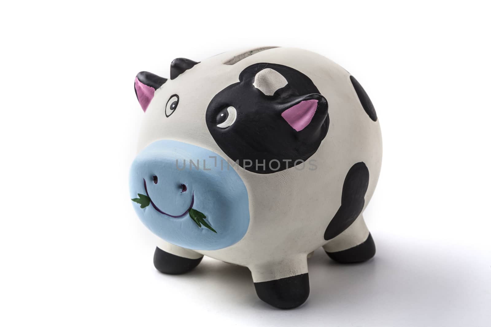 Piggy Bank Animal by orcearo