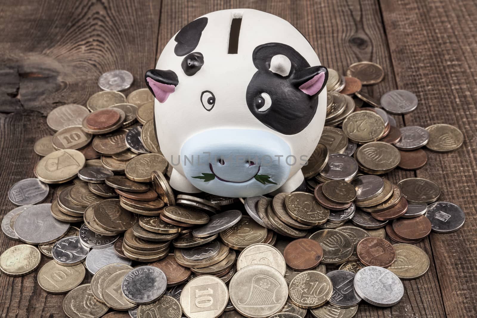 Piggy Bank On Coins by orcearo