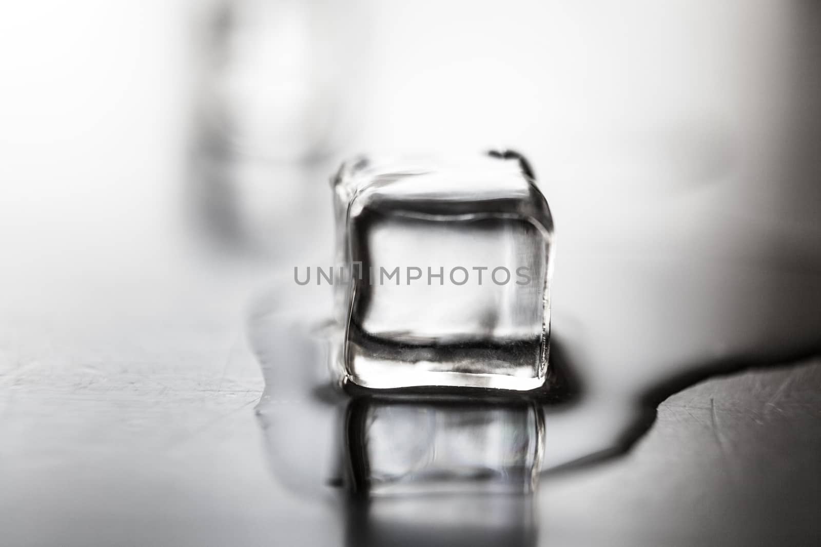 Ice cube melts on table with reflection