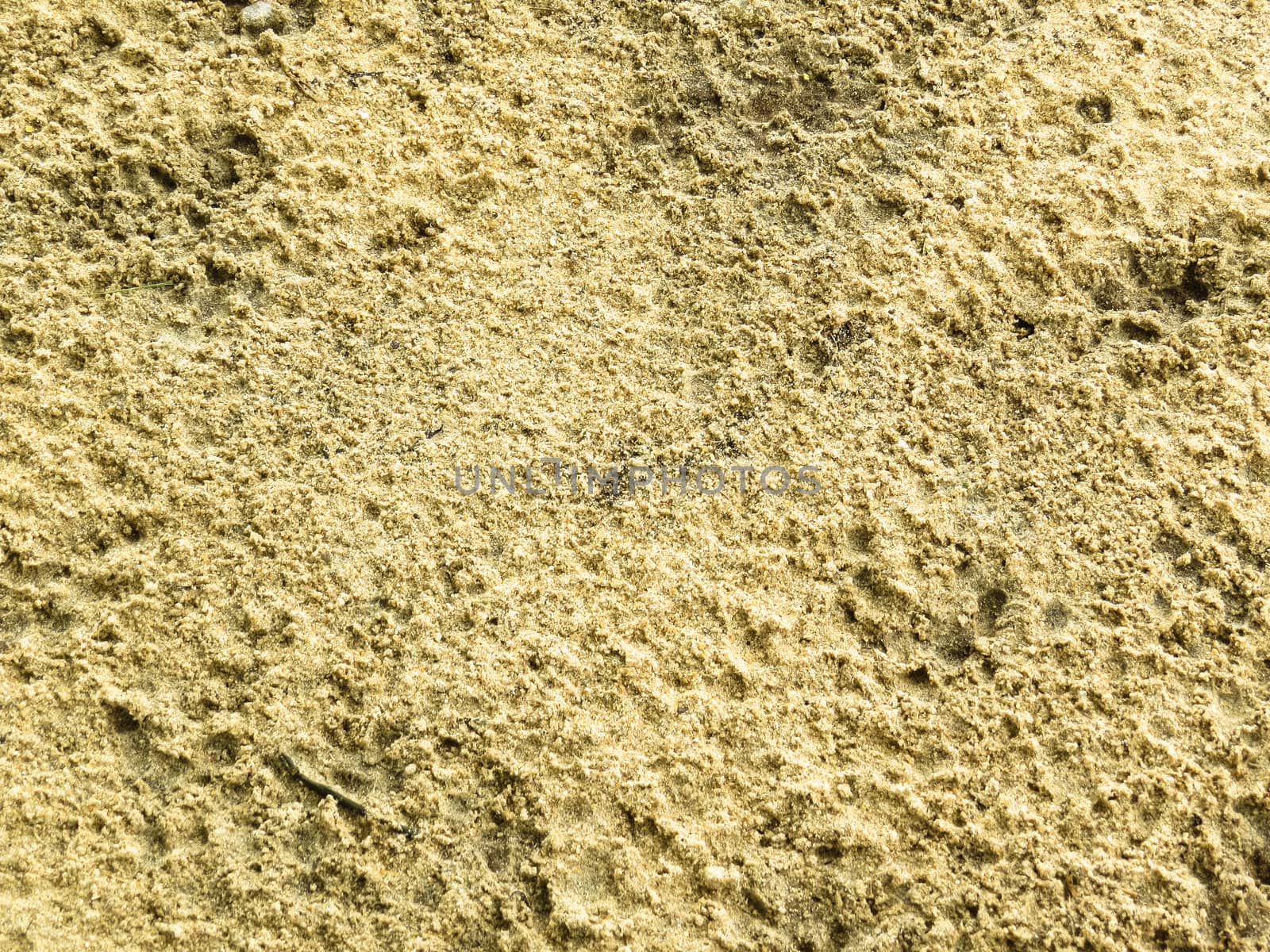 Delicate texture of beach sand after a summer rain in the morning.