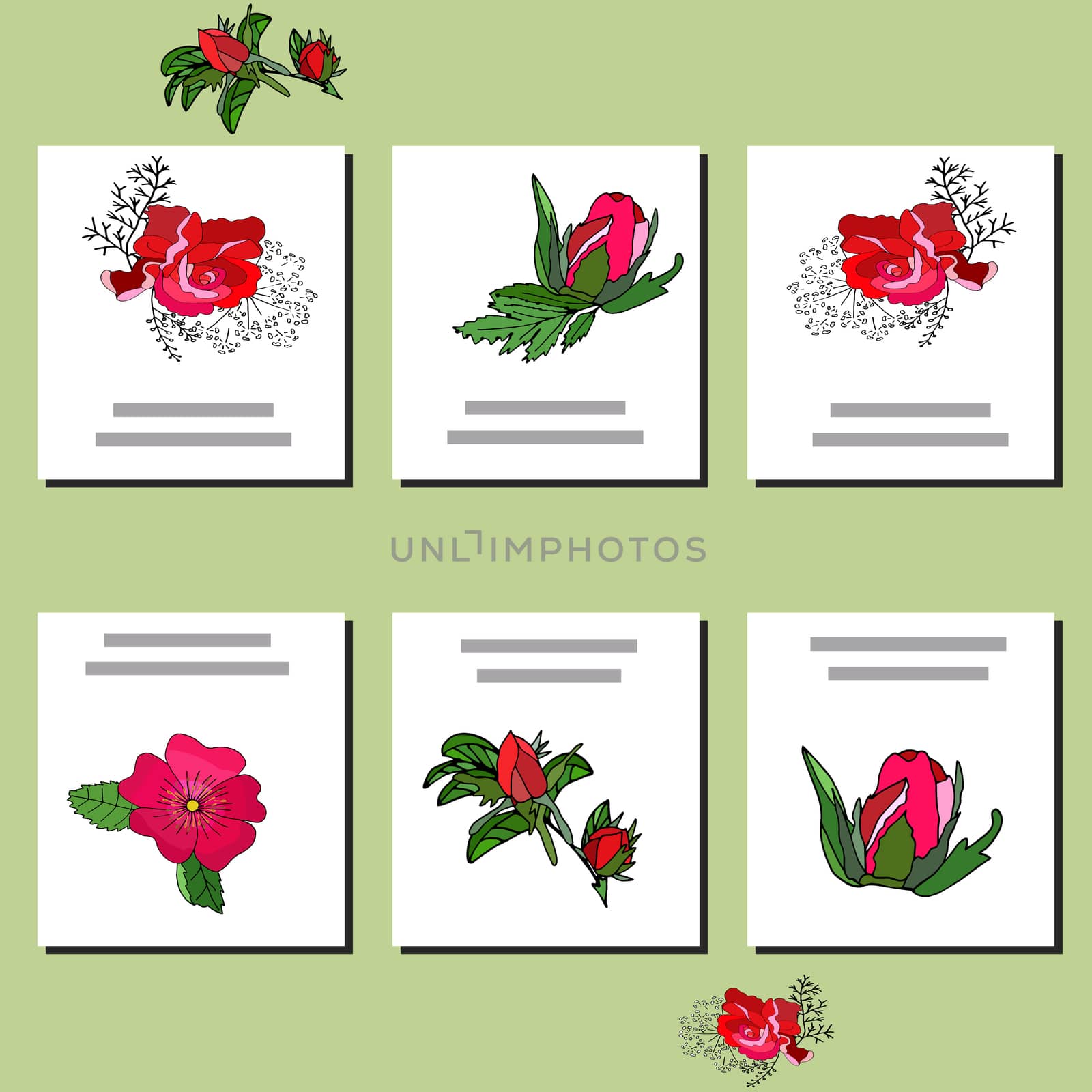 Collection of six cards design. Templates with red roses on white background for your design, greeting cards, festive announcements, posters. Vector.