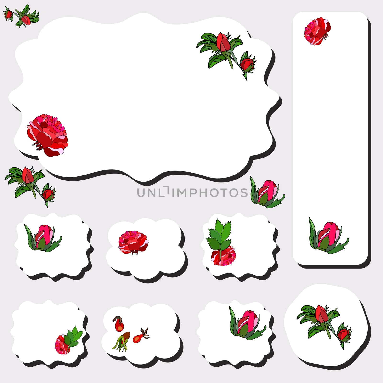 Floral set of different labels. Template with red roses on white background for romantic and wedding design, announcements, greeting cards, posters, advertisement. Vector
