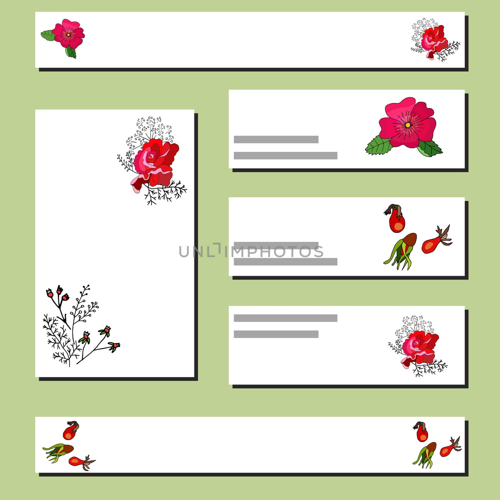 Collection of floral templates with red rose and rosehip. Design for romantic announcements, greeting cards, posters, advertisement. Vector
