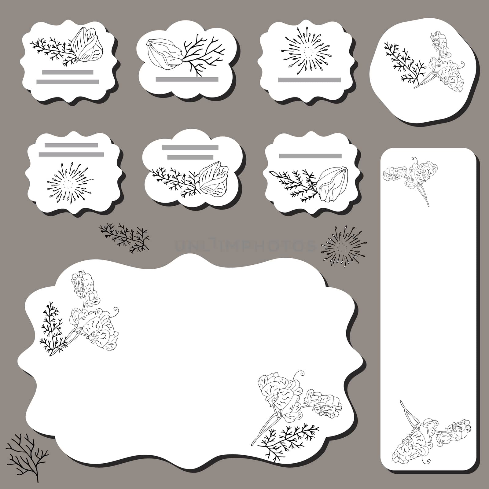 Templates with cute black rose and sweet pea. Different shape label and cards design for announcements, greeting cards, posters, advertisement. - Vector
