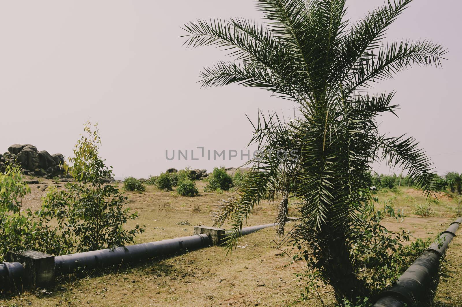 Long huge metal pipelines. Pipeline transportation common way of transporting goods such as oil, natural gas or water on long distances. Jharkhand, India