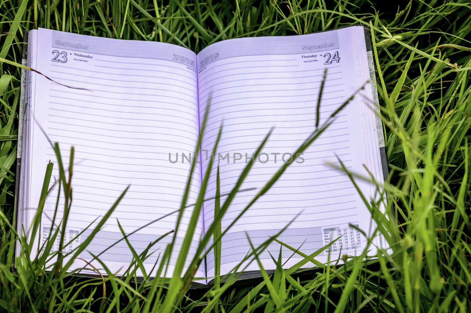 Open book on lying on green grass under the sun. Summer spring education background with open white pages of a dairy. Back to school concept. Copy Space.