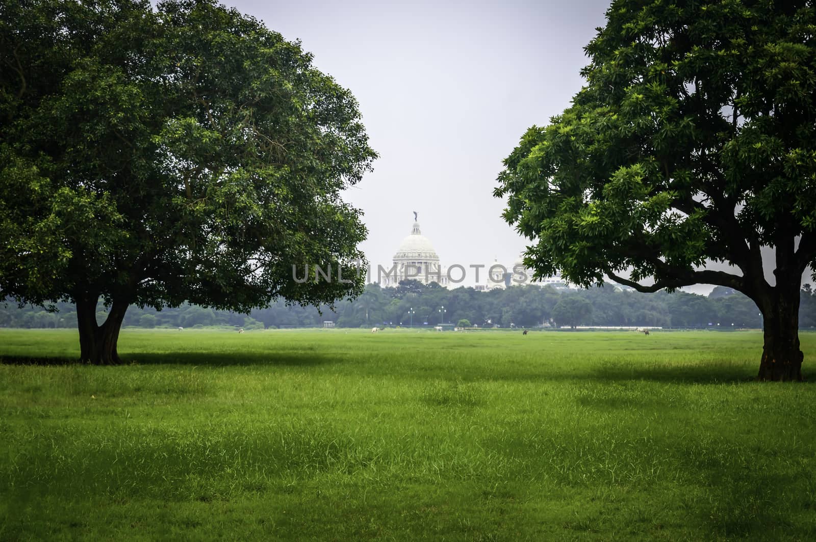 Beautiful image of Victoria Memorial snap from distance, from Moidan, Kolkata , Calcutta, West Bengal, India. by sudiptabhowmick