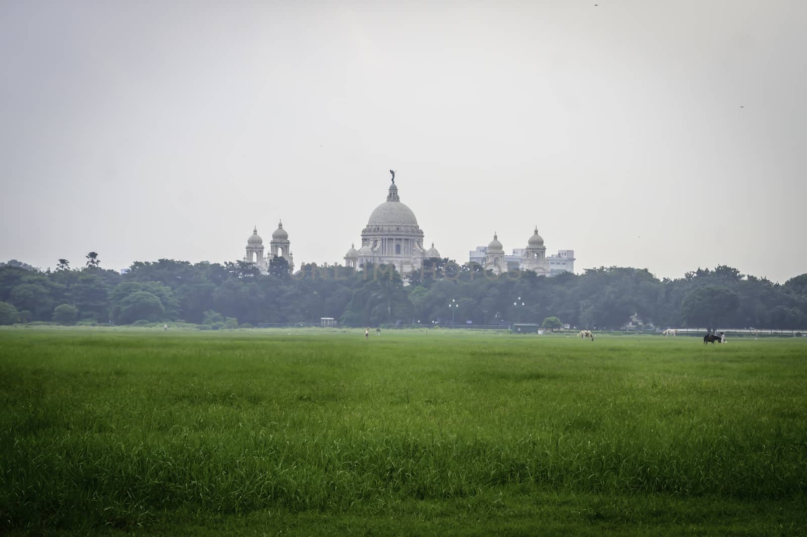 Beautiful image of Victoria Memorial snap from distance, from Moidan, Kolkata , Calcutta, West Bengal, India. by sudiptabhowmick