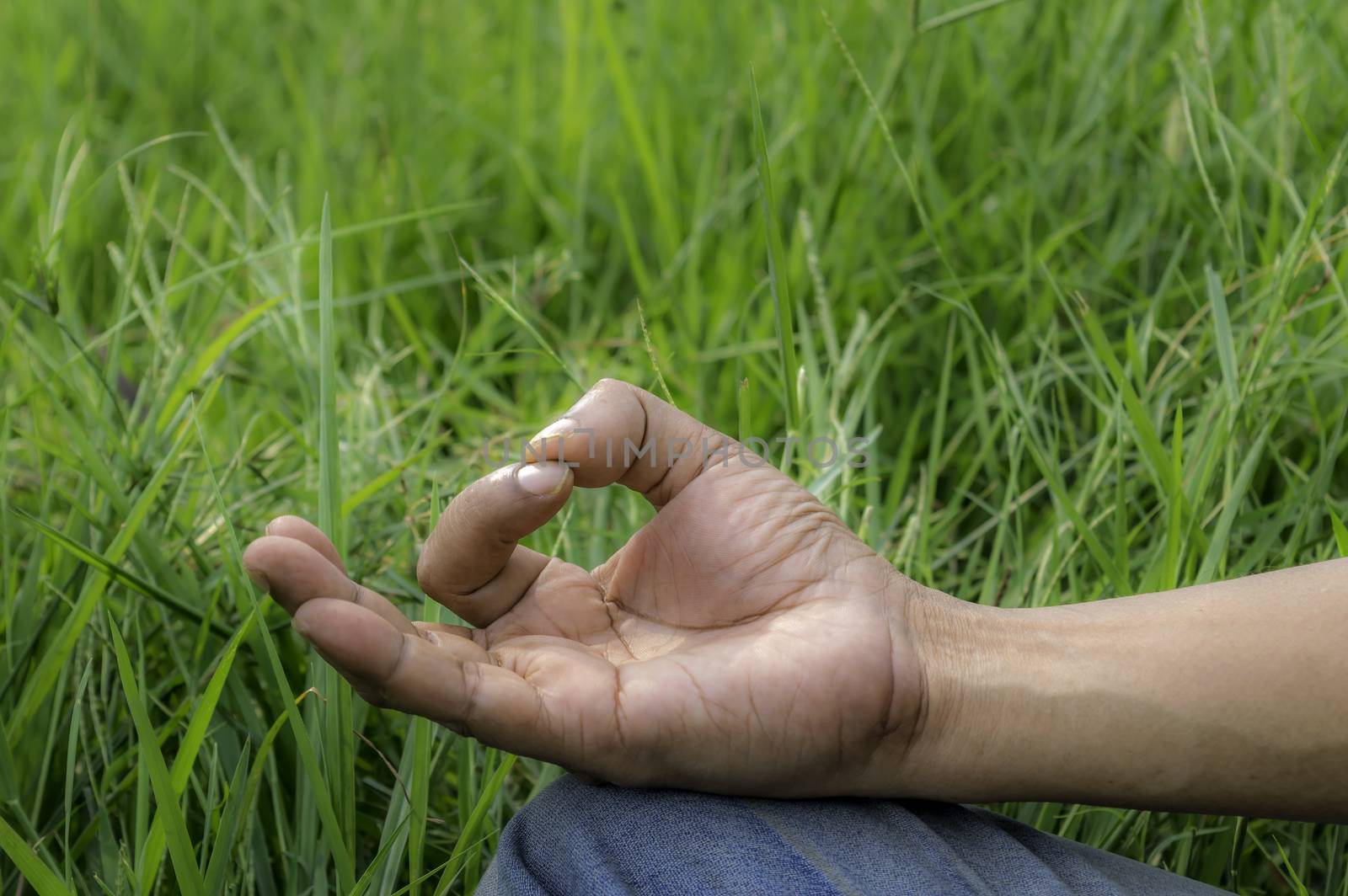 Close up hands, yoga outdoor, exercising vital and meditation for fitness at the nature background. Healthy and Yoga, zen relaxation nature background. Healthy Lifestyle Concept. (Kolkata, India)