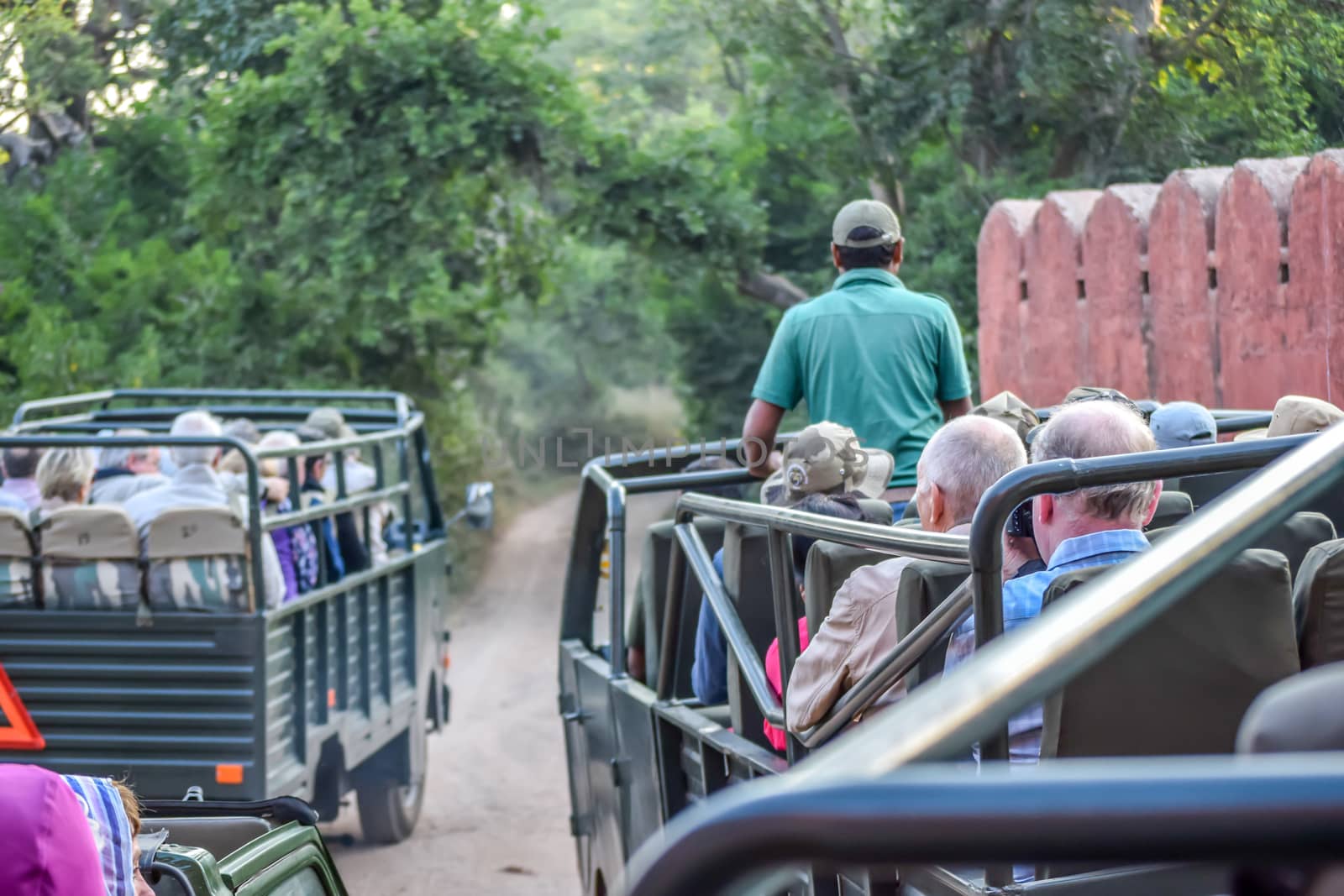 RANTHAMBORE National Park, INDIA-APRIL 15: Tourist group people on Safari jeep crossing road path inside danger area of forest. It is protected forested wildlife sanctuary in northern India.