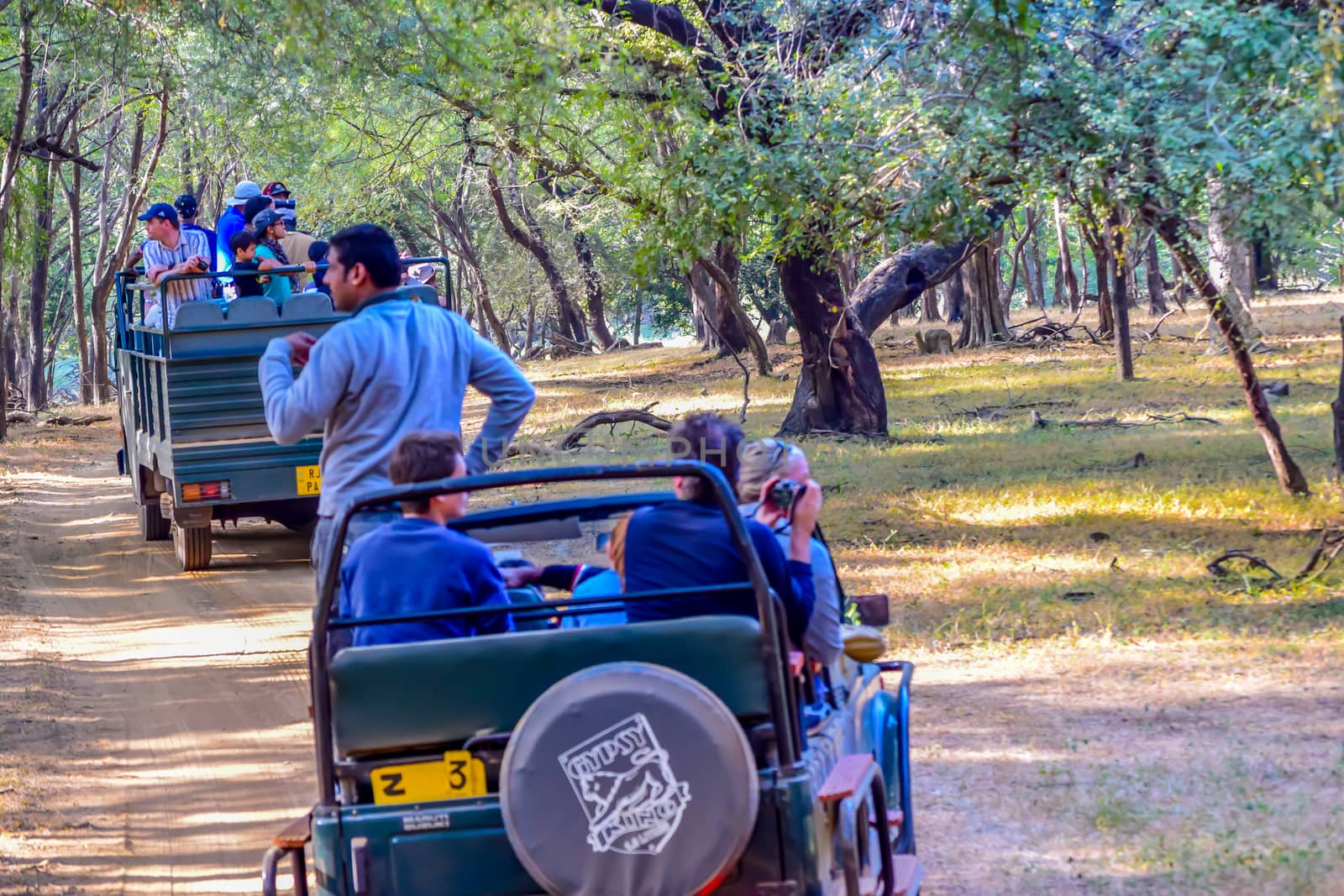 RANTHAMBORE National Park, INDIA-APRIL 15: Tourist group people on Safari jeep crossing road path inside danger area of forest. It is protected forested wildlife sanctuary in northern India.