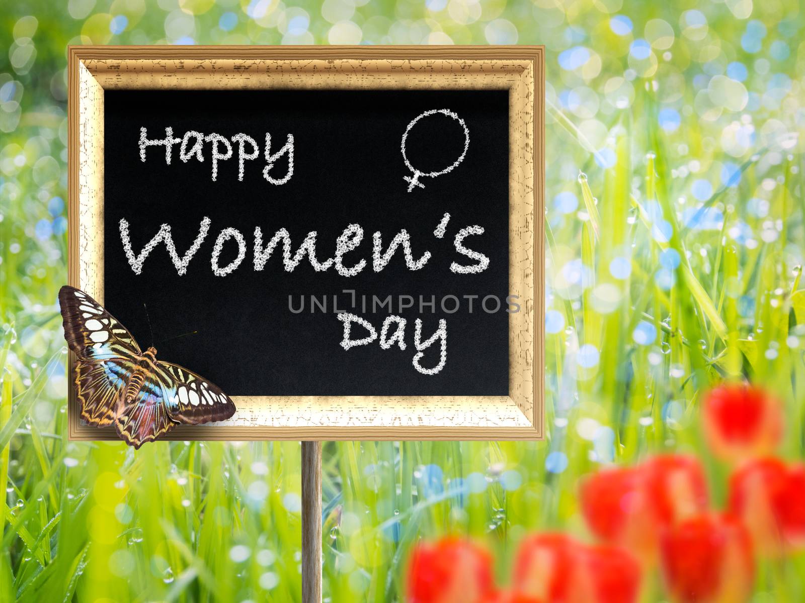 Black chalkboard with text Happy women's day by w20er