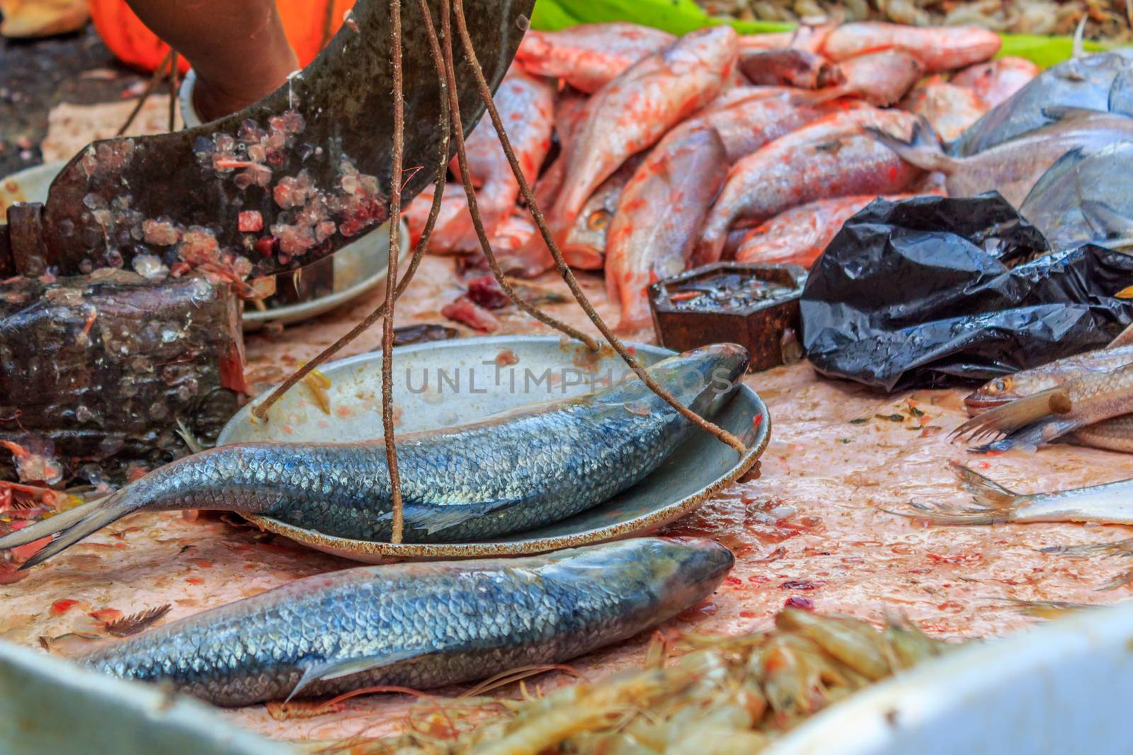 Fish at a street market in the Koley Market area of Kolkata, West Bengal, India, Asia