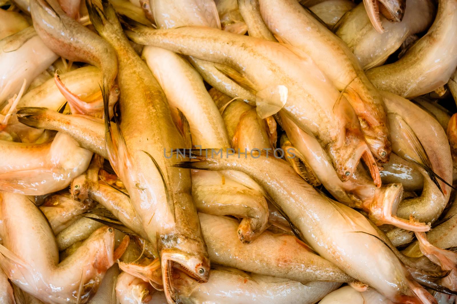 Fish at a street market in the Koley Market area of Kolkata, West Bengal, India, Asia