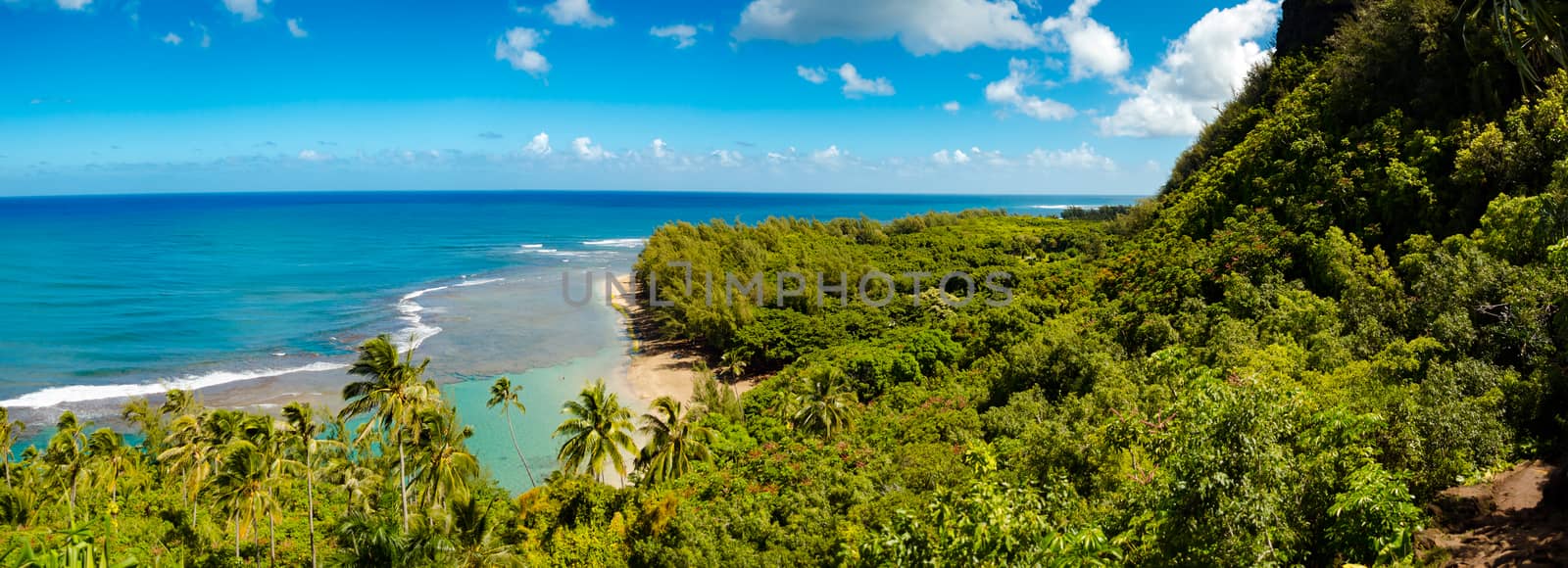 Panoramic view of the sea from the Kalalau trail in Kauai, US by mikelju