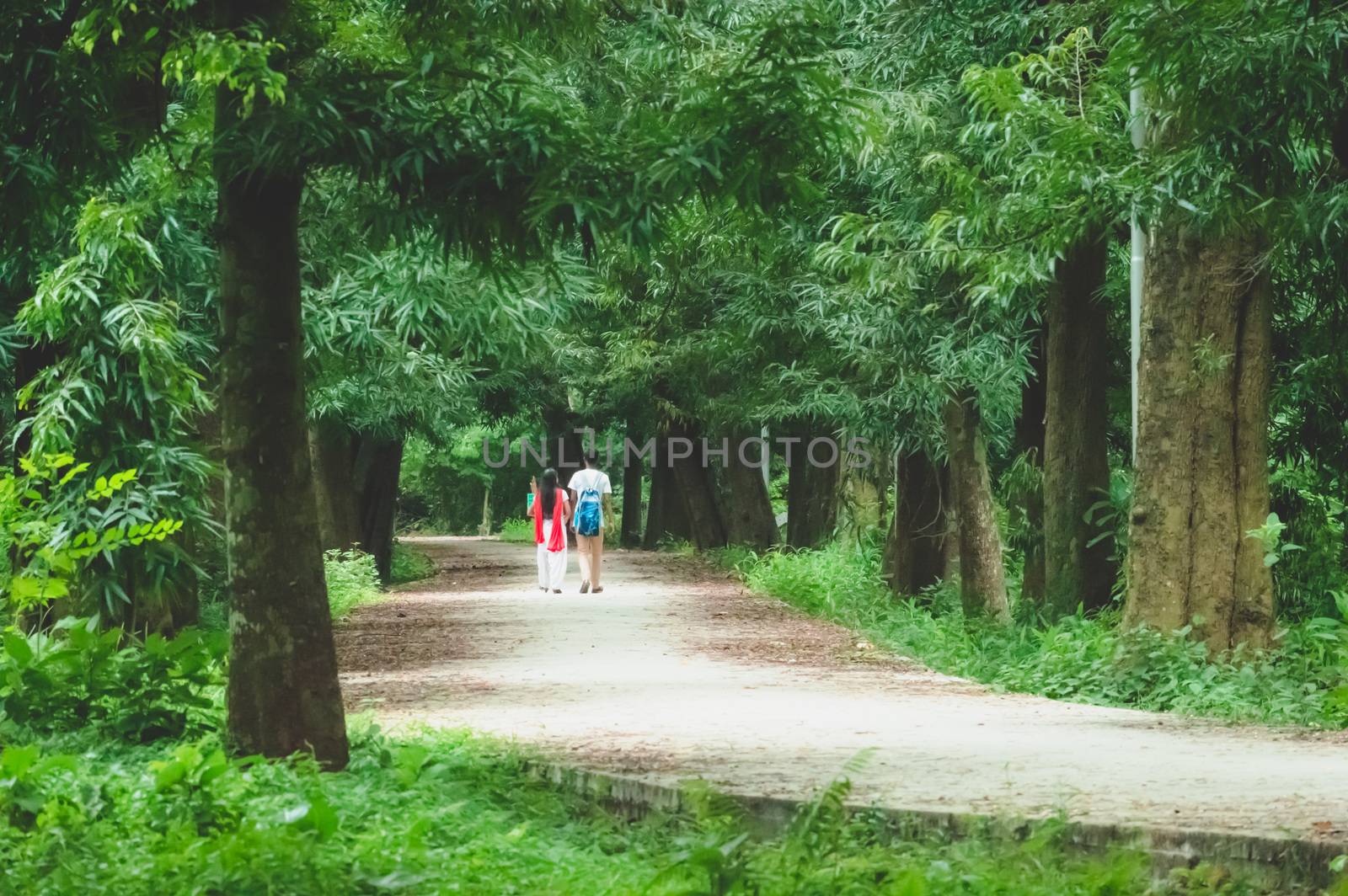 Couple walking in a park by sudiptabhowmick