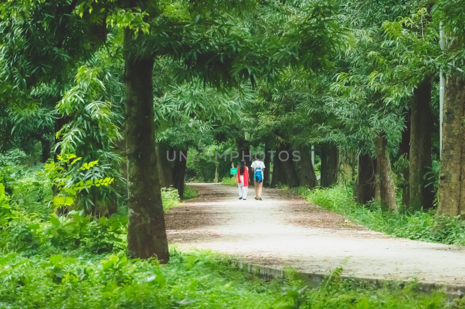 Couple walking in a park by sudiptabhowmick