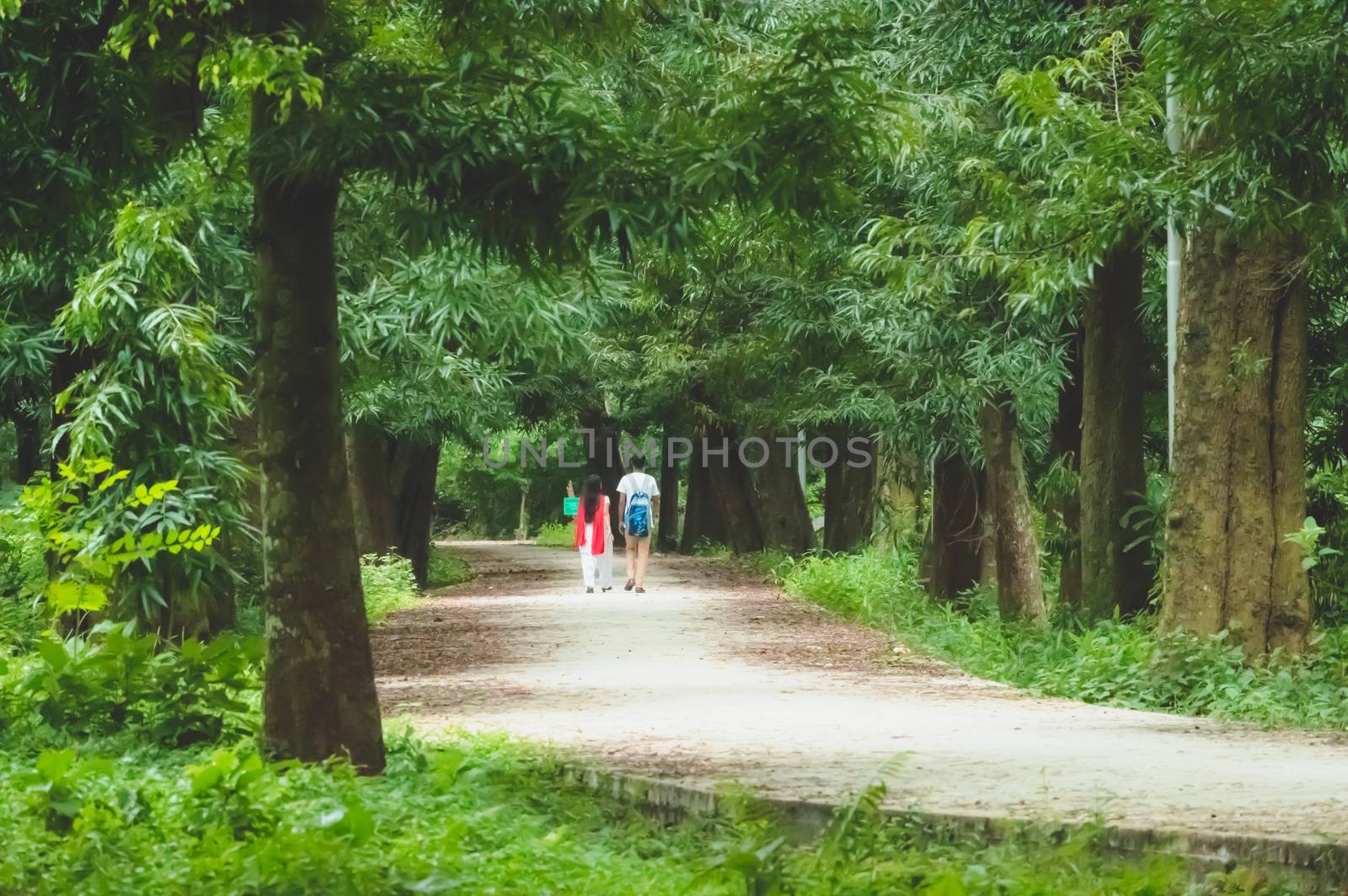 Portrait of two joyful young loving Couple walking in a green autumn park on a romantic summer day. Pre-wedding marriage engagement concept. Togetherness composition. Botanical garden, Kolkata, India