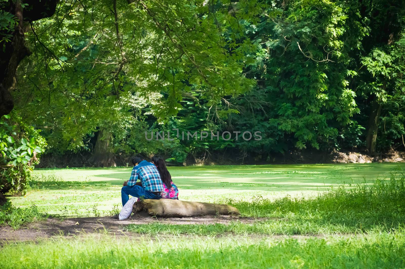Portrait of two joyful young loving Couple sitting in a green autumn park on a romantic summer day. Pre-wedding marriage engagement concept. Togetherness composition. Botanical garden, Kolkata, India
