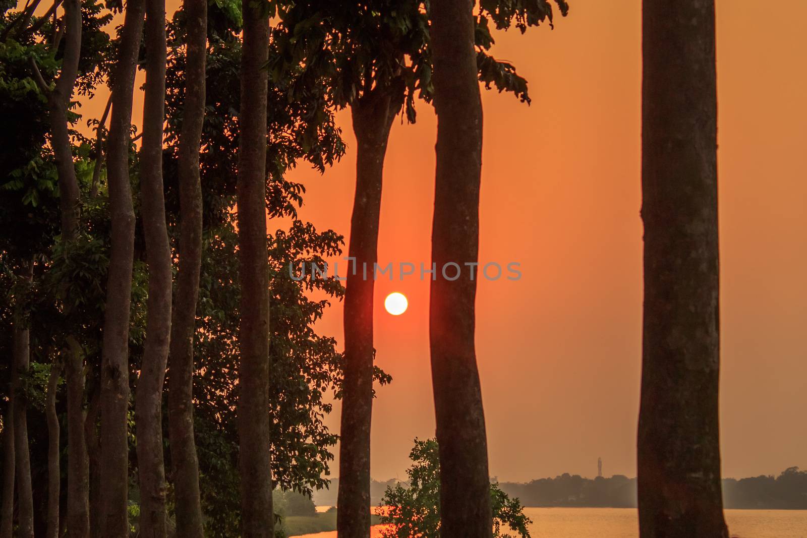 Hazy Sunset through treeline. Sun lighting in the evening. Golden hour view of rural india city. Nature landscape photography.