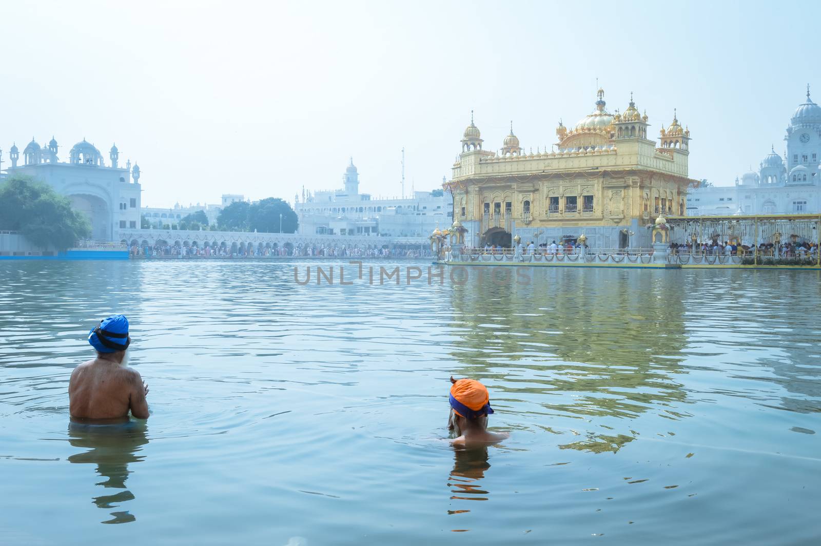 Unidentifiable Punjabi Sikh pilgrim devotee "Nihang Warrior" taking bath and prayer in pond and meditating in front of Golden Temple ("Harmandir Sahib Darbar Gurudwara") Amritsar, Punjab, India, Asia.