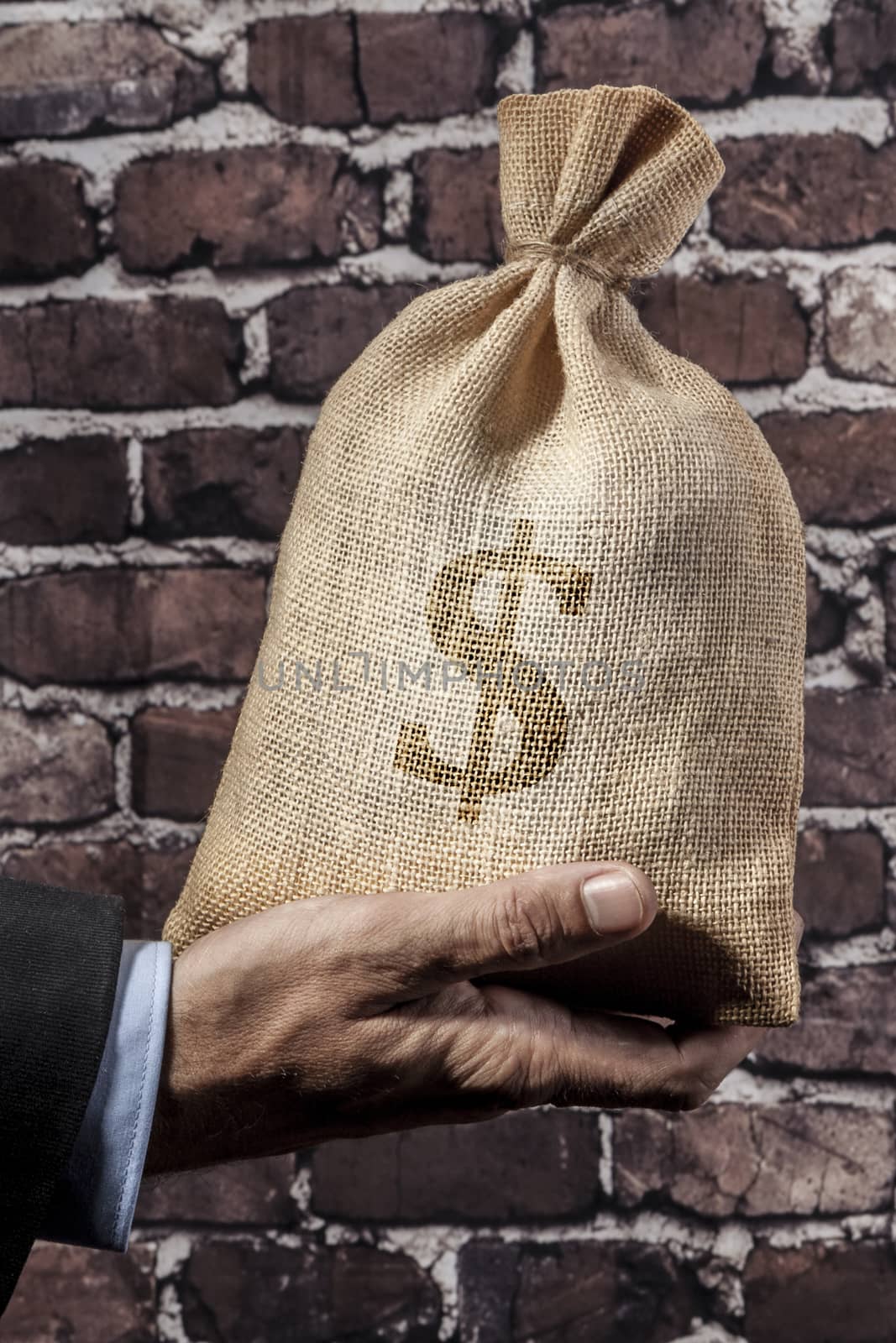 Hand holding a big sack of money