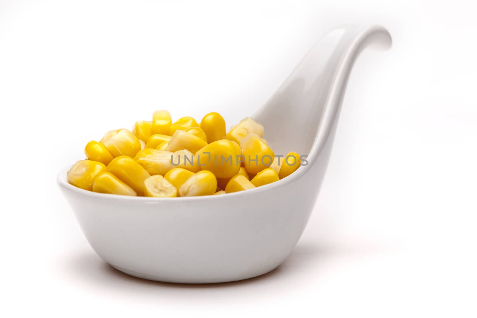 Corn isolated on white background with shadow