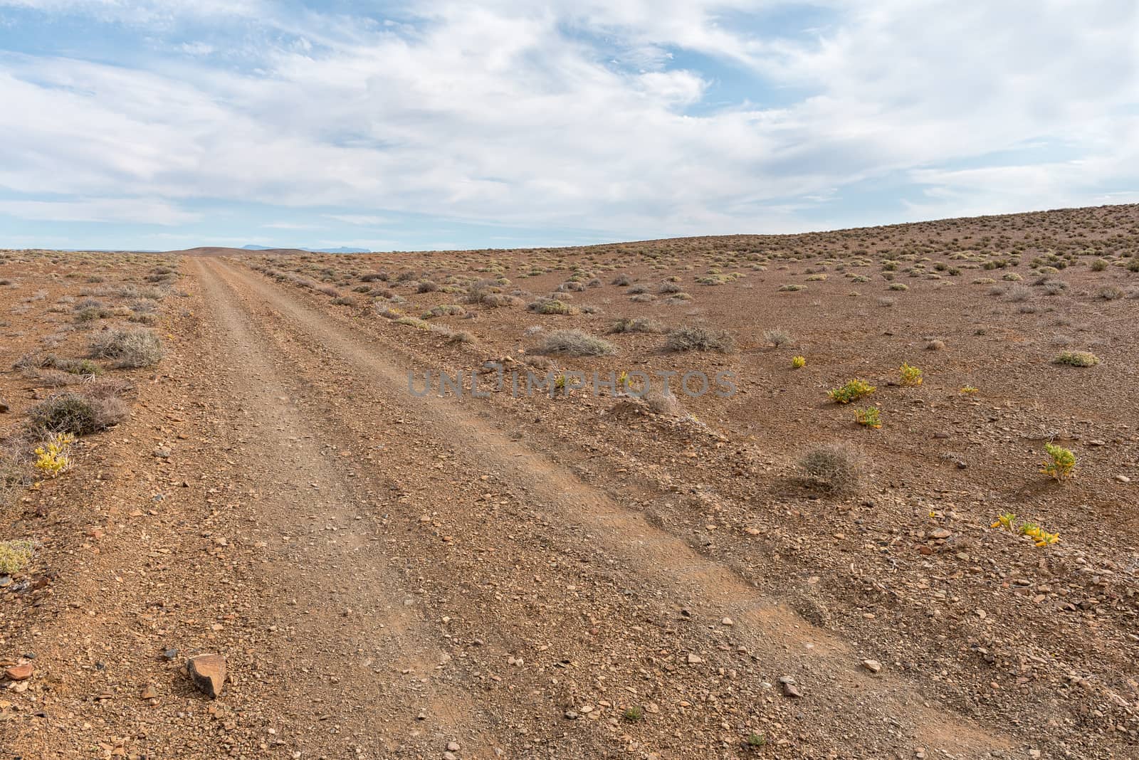 A badly corrugated gravel road in the Tankwa Karoo in the Northern Cape Province of South Africa